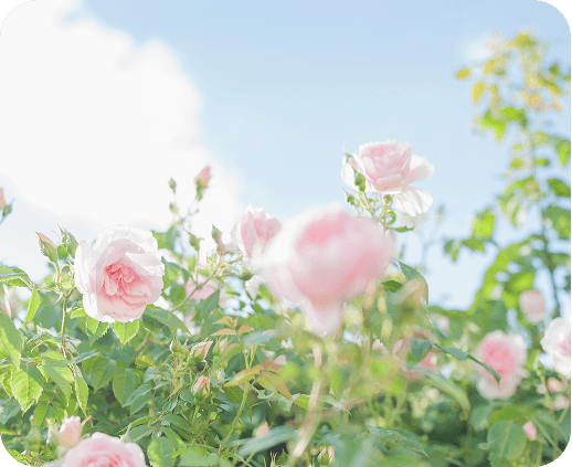 자연 치유 영상